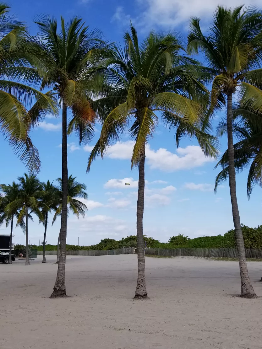 Meeting Hotels | Miami Beach Convention Center