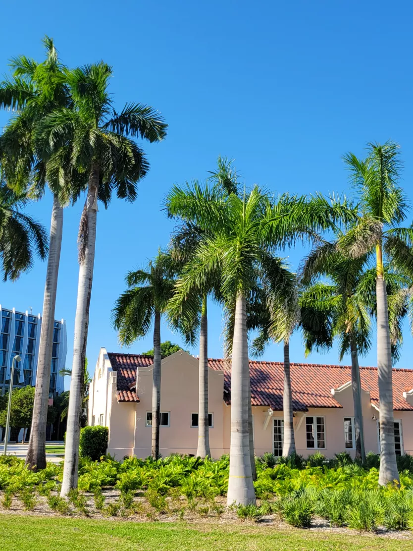 Restaurants, Shopping near Orlando Convention Center